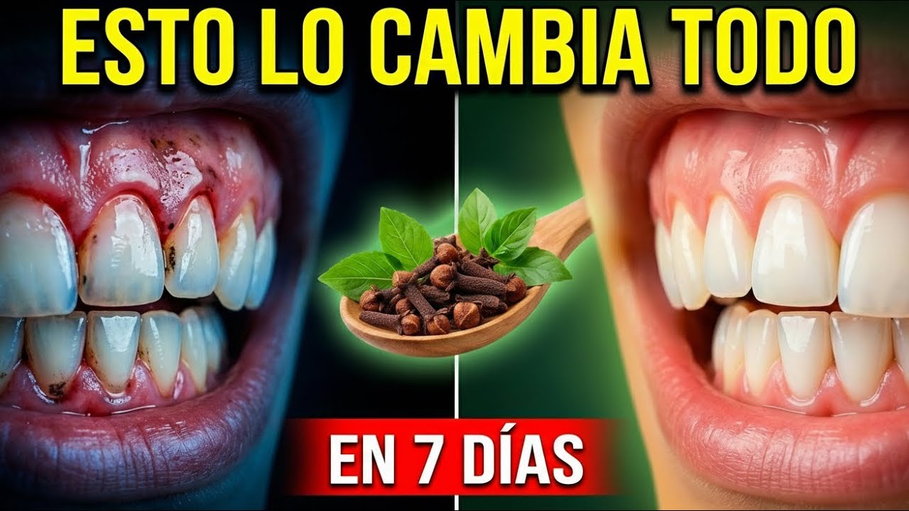 El Poderoso ANTIBIÓTICO Natural que REGENERA tus ENCÍAS y Elimina el Mal Aliento