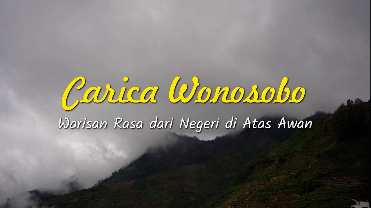 Carica Wonosobo: Warisan Rasa dari Negeri di Atas Awan 🌥️🌄