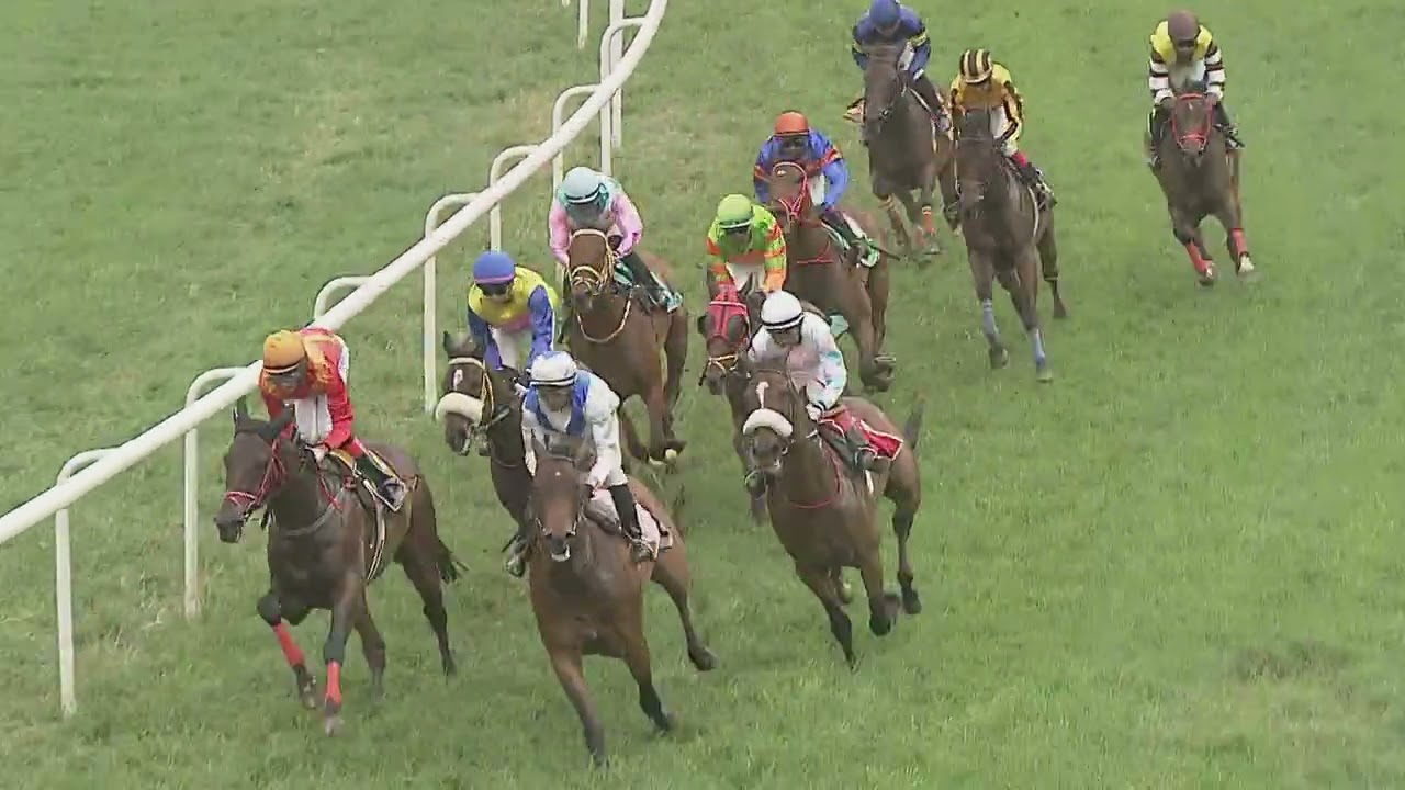 BREEZE BLUSTER : THE SIR CECIL PLATE DIV I (86)
