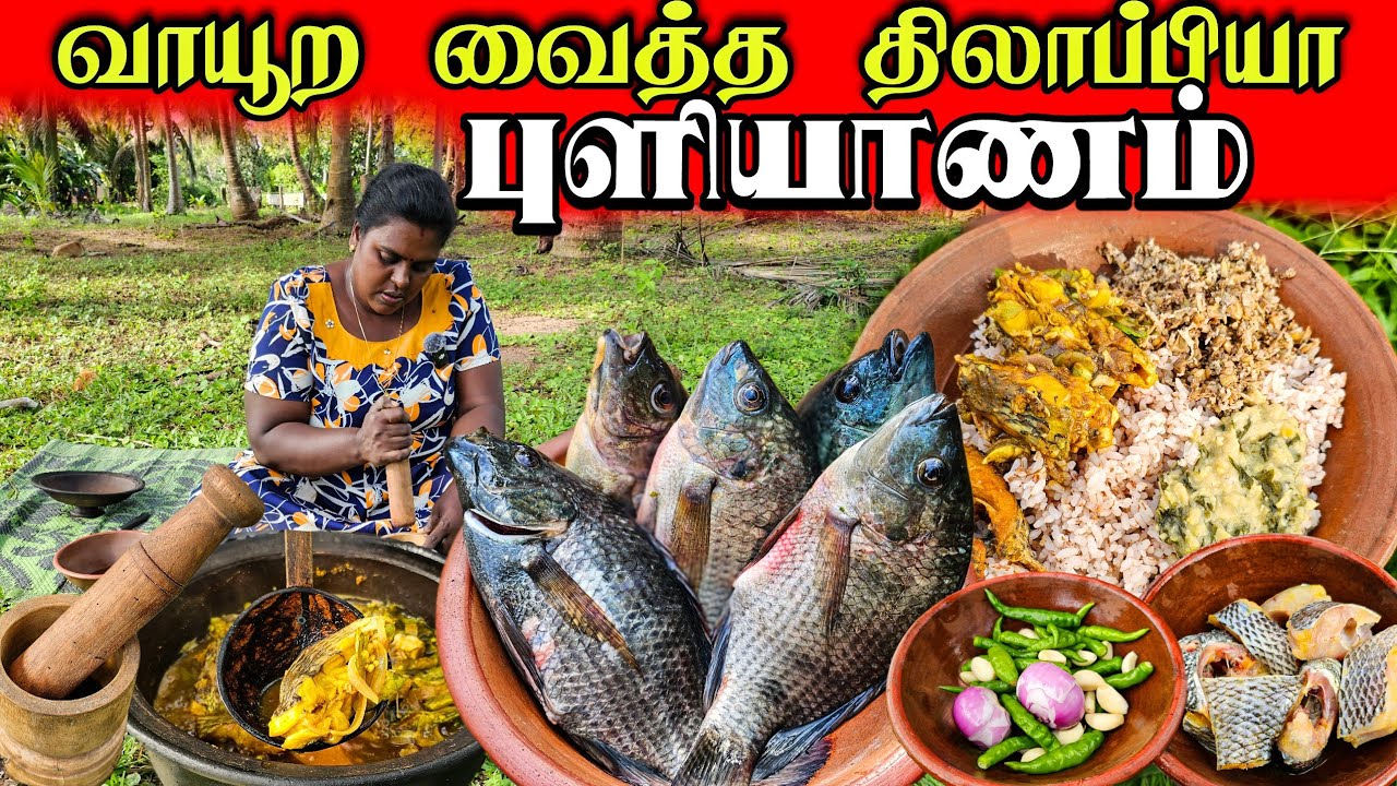 கிராமத்து முறையில்  திலாப்பியா மீன் புளியாணம் | Our Village lifestays cooking | vanni vlog