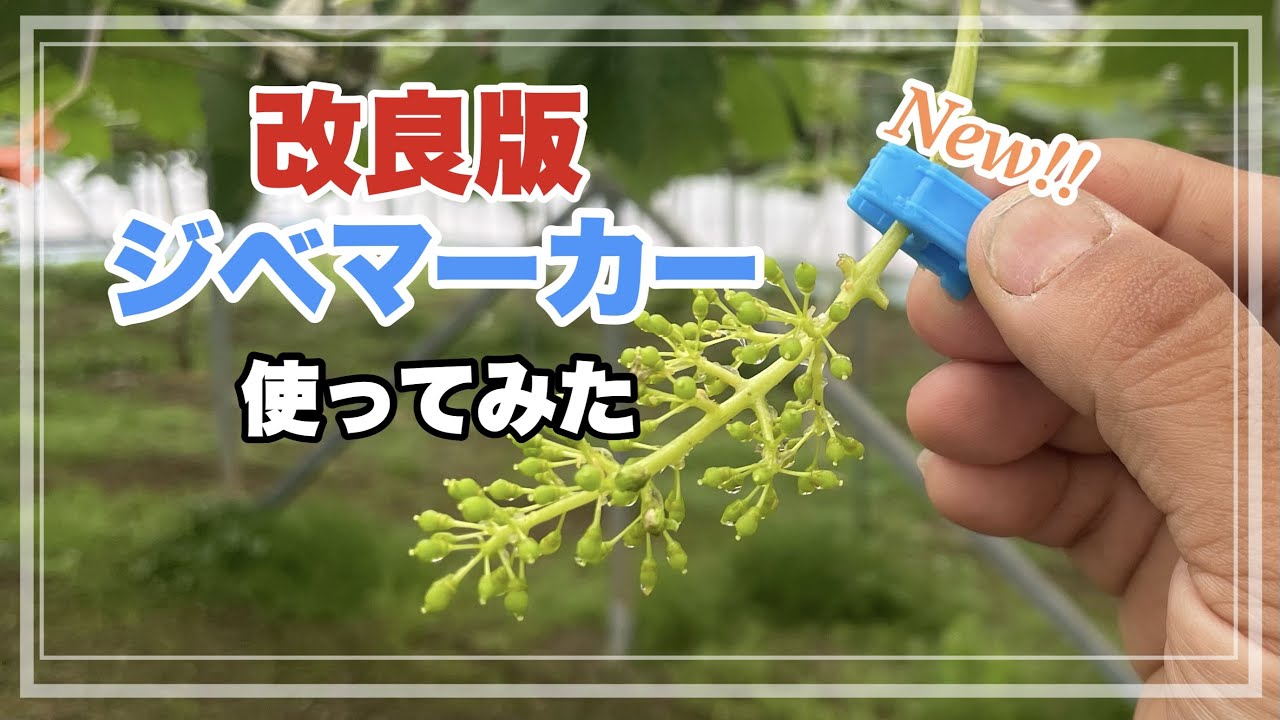 【ジベ処理】改良版！ジベマーカーを使ってみた！