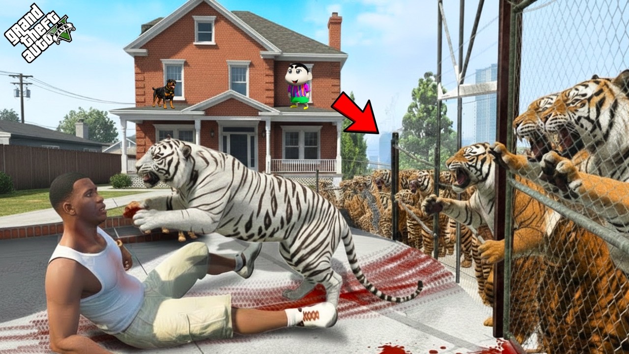 Hungry Red Tigers Attack Franklin’s House – Can He Survive? 😱 | GTA 5