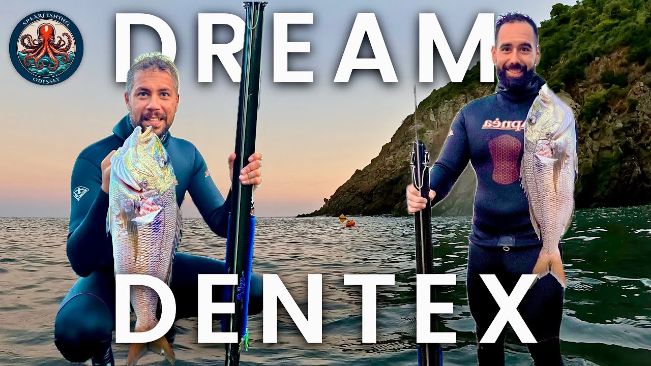 🏆 The Dentex of a Lifetime | From a Painful Miss to Our Greatest Victory | Spearfishing Greece 🐟
