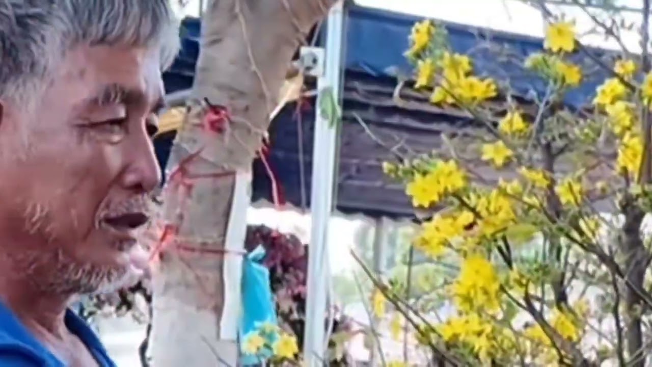 Thà ĐẬP Bỏ dưa hấu chứ không bán rẻ cho người dân Lỗ 200 triệu