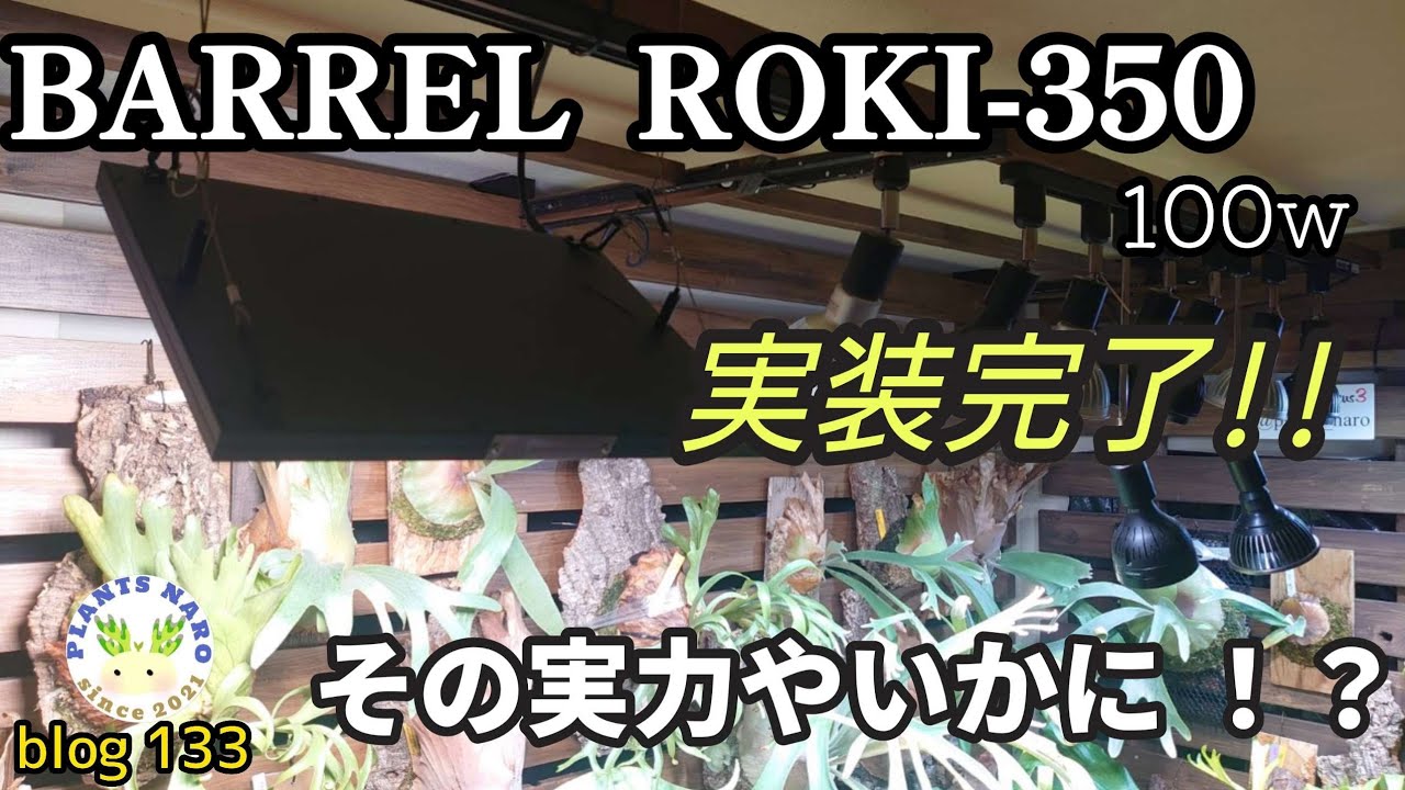 【パネル植物育成ライト】照度強化なるか!?新年を明るく照らそう会💡