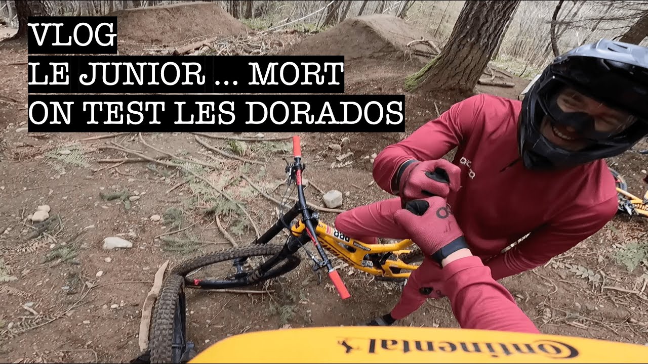 Nouvelle manitou dorado - le junior proche de la mort