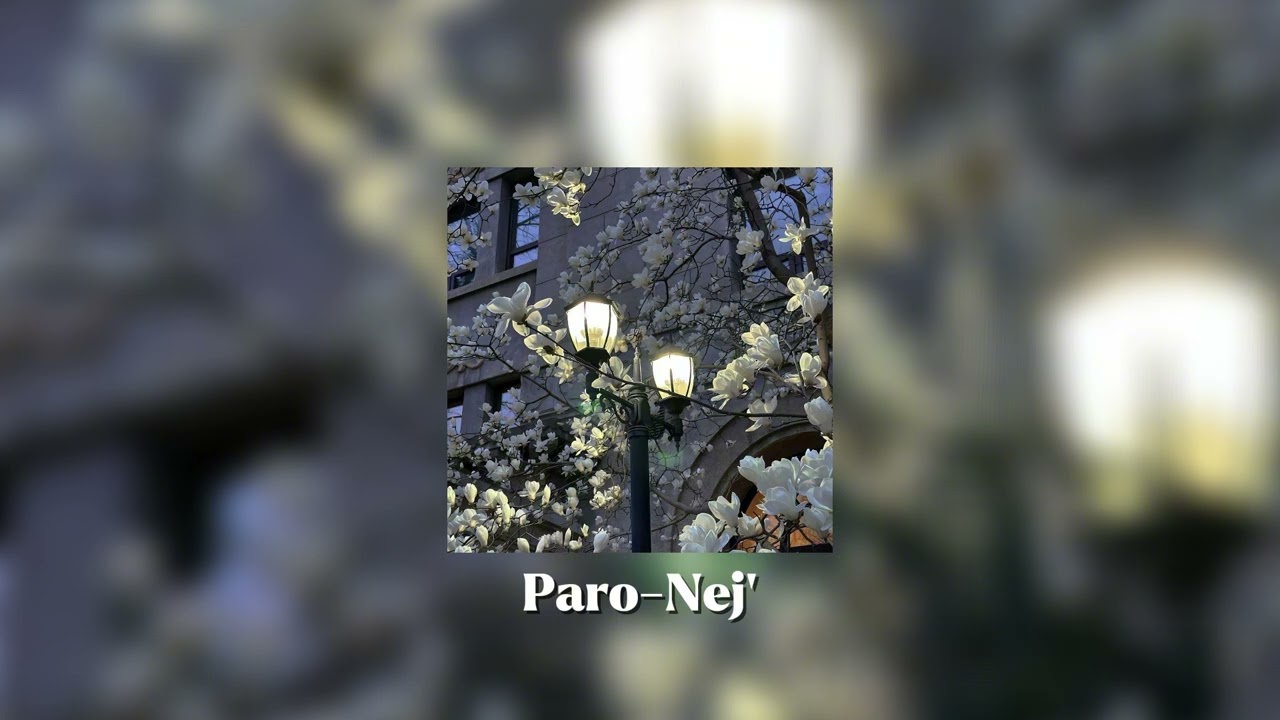 Paro - Nej' (speed up)