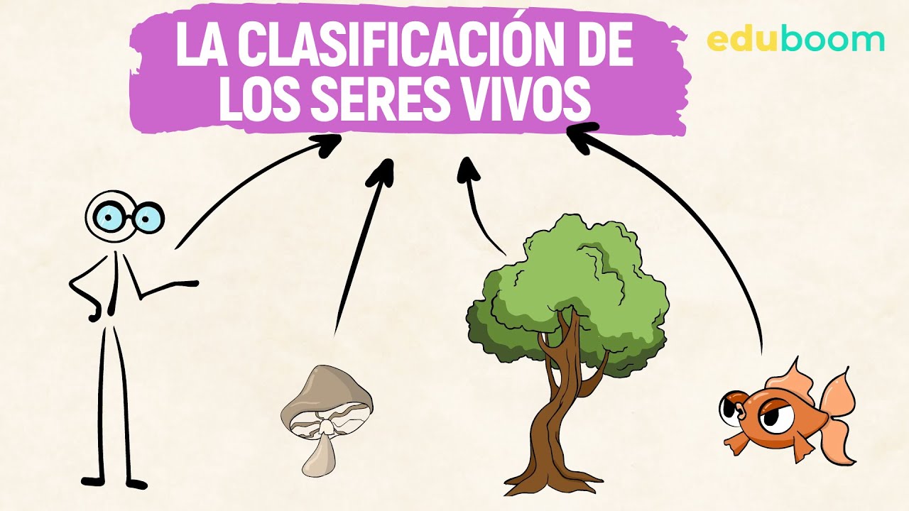 La clasificación de los seres vivos │ Biología y Geología, 1ºESO