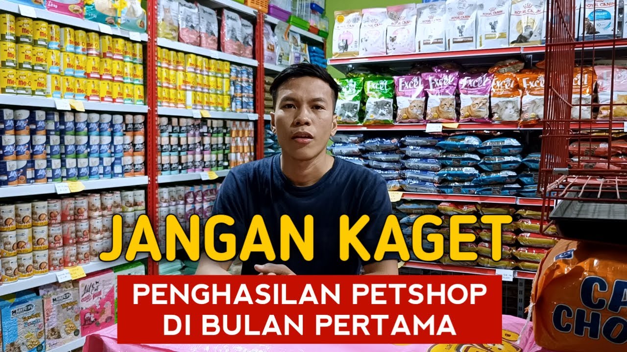 JANGAN KAGET PENGHASILAN PETSHOP DI BULAN PERTAMA | USAHA PETSHOP PEMULA