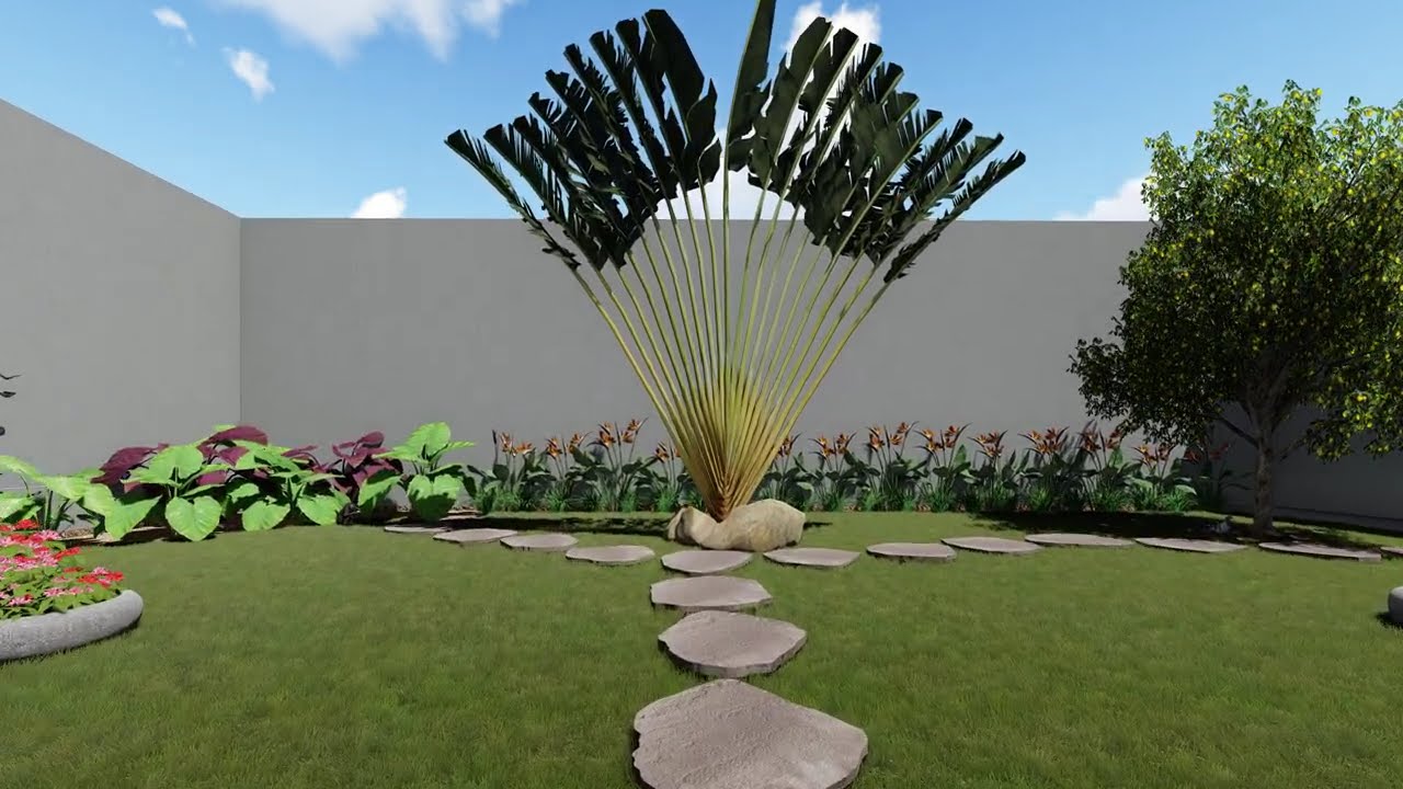 PROJETO DE PAISAGISMO - JARDIM COM RAVENALA #paisagismo #garden #jardim