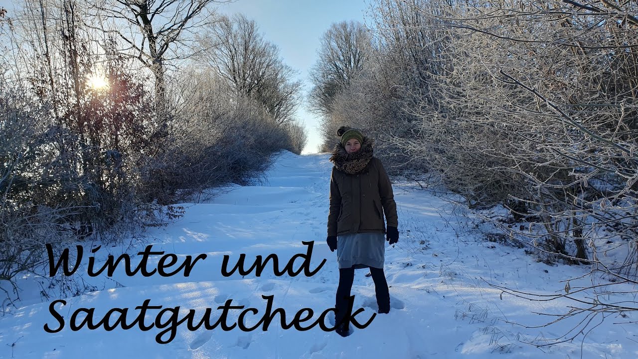 Wintereinbruch und Gartensaisonplanung