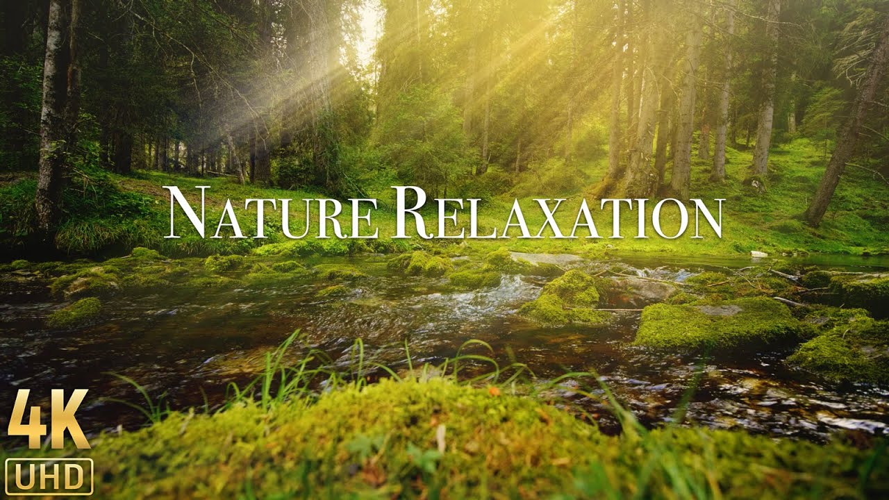Deep Feeling by Beautiful Relaxing Music & Nature Sounds for Relax, Meditation, Sleep, Stress Relief