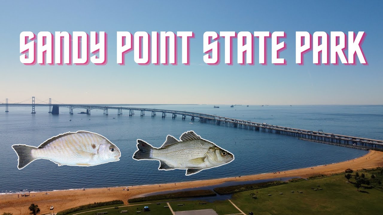 Fishing Sandy Point State Park | Chesapeake Bay MD (White Perch, Spot)