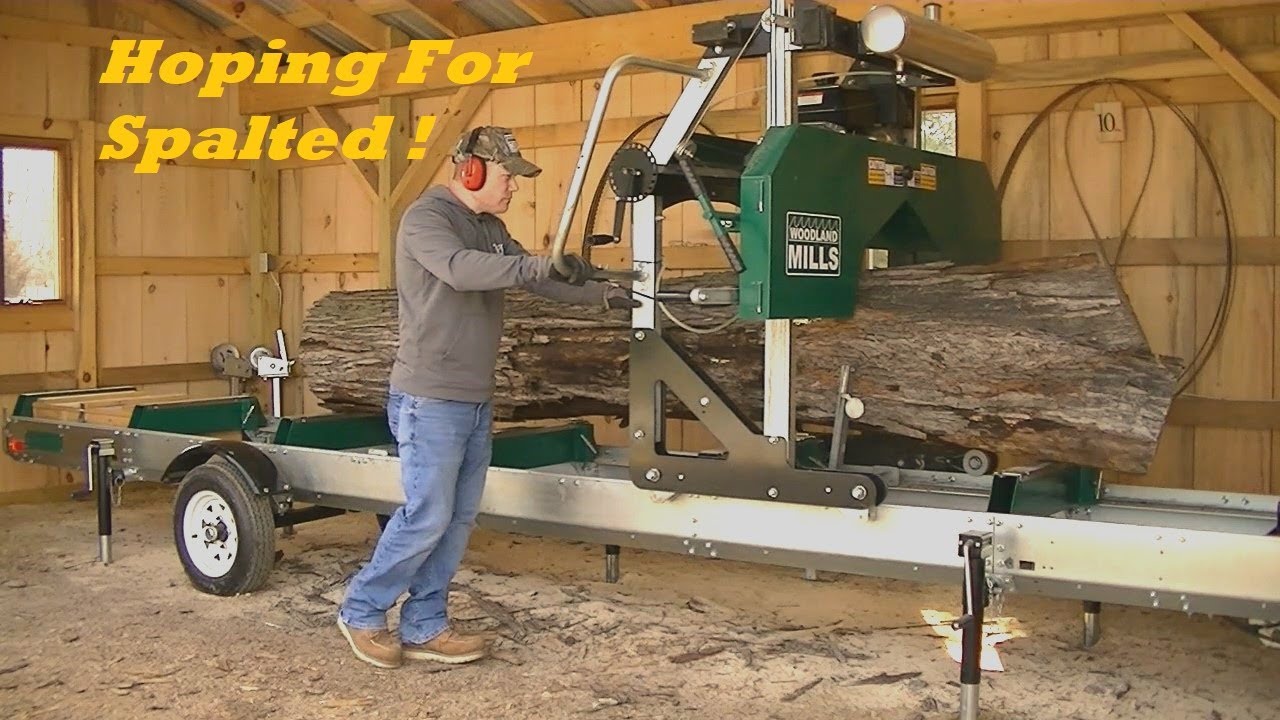 Spalted Maple I Hope? At the Sawmill Today. Woodland Mills
