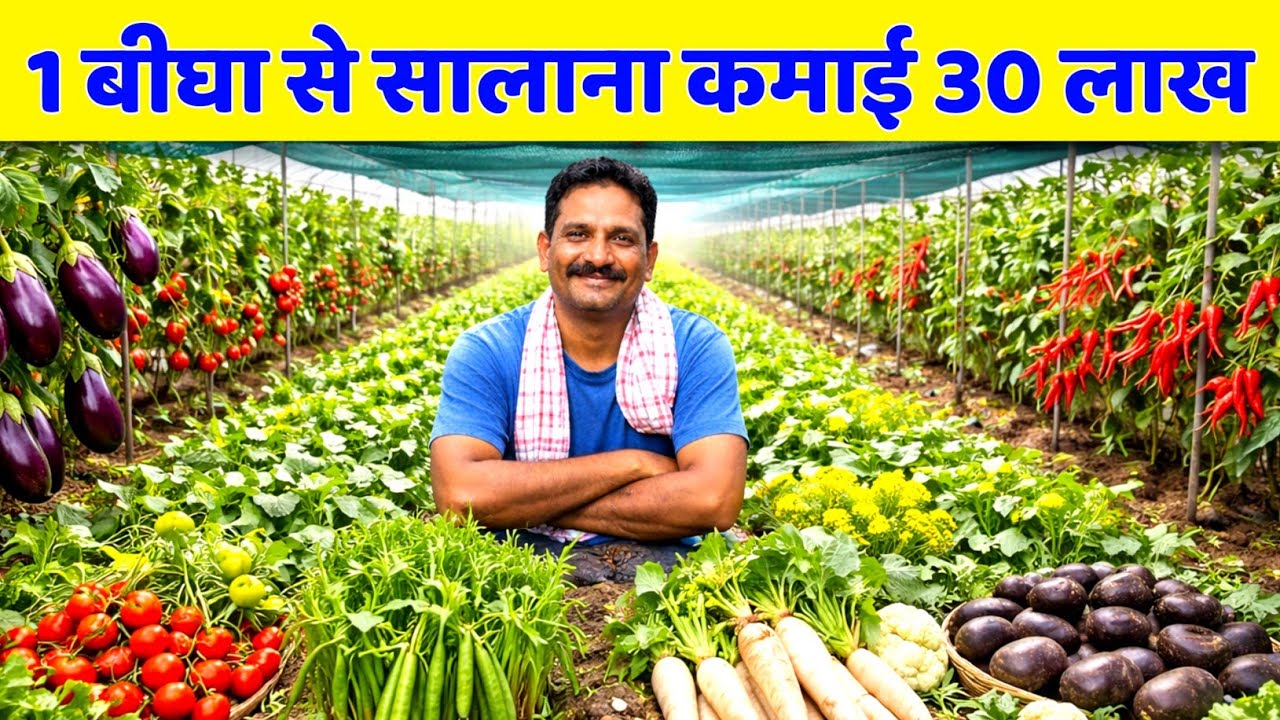 1 बीघा में 35 सब्जियां और ₹30 लाख कमाई! किसान का चौंकाने वाला मॉडल 🔥 
