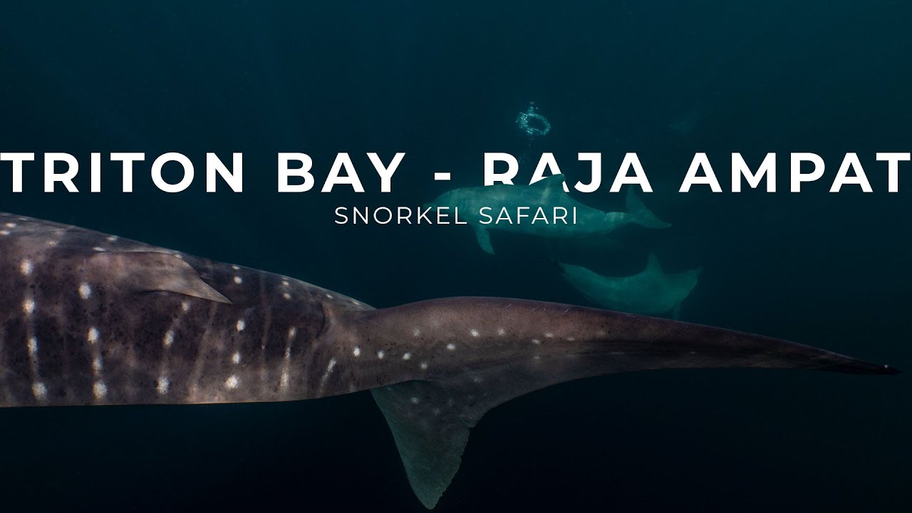 Triton Bay - Raja Ampat Snorkel Safari