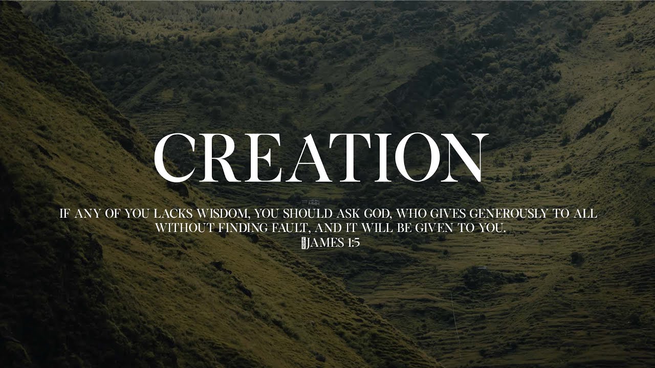 [FREE FOR PROFIT] 