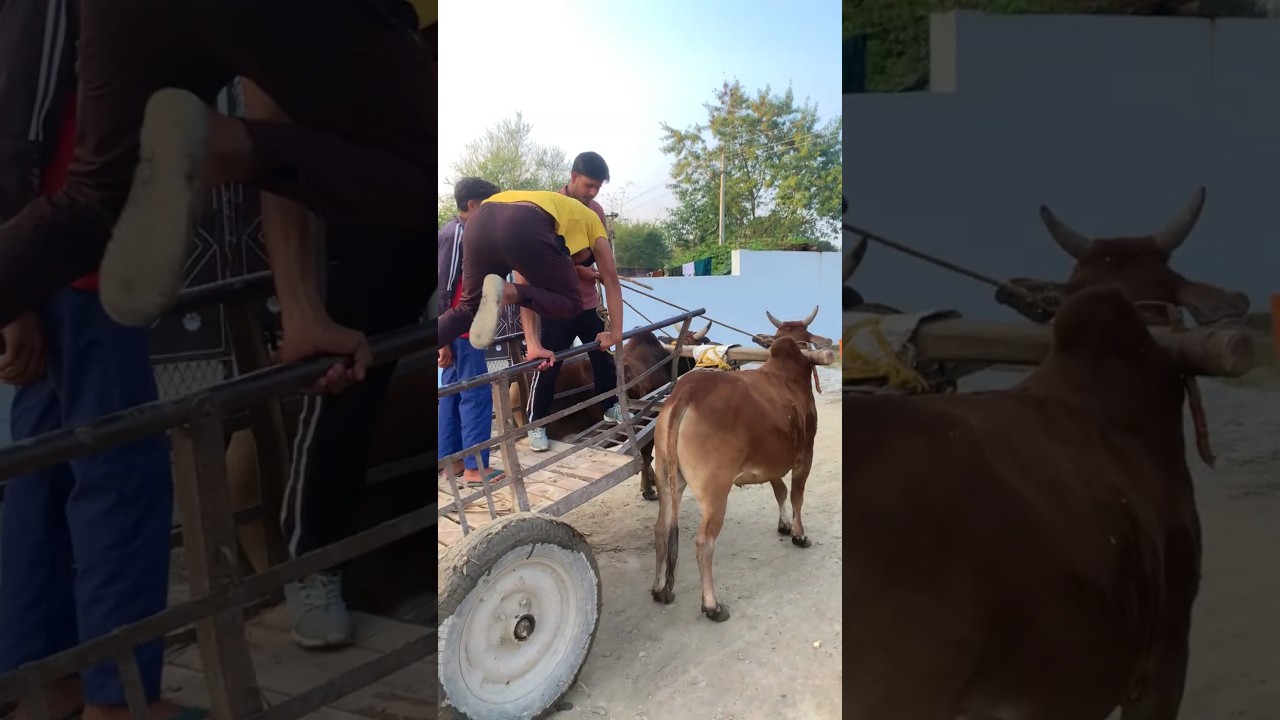 KHET HI JLA DIYA🔥