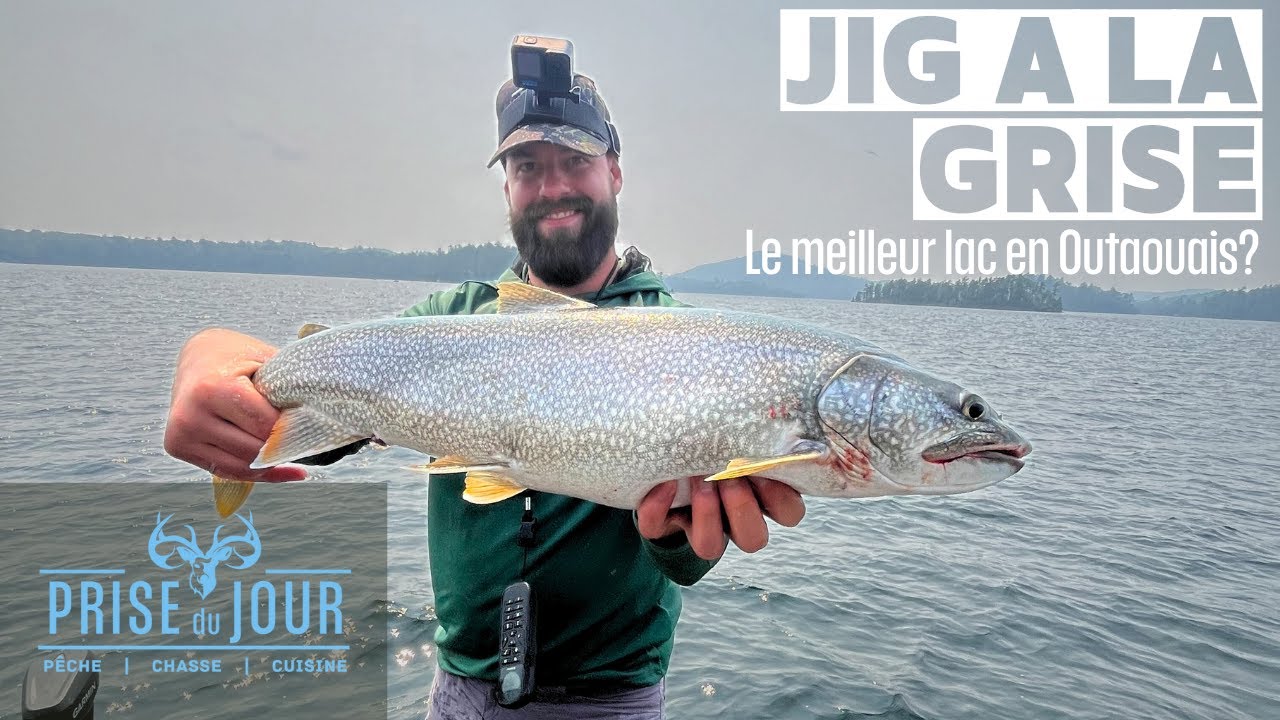 Pêche à la truite grise au lac 31 milles. Un lac vraiment incroyable!