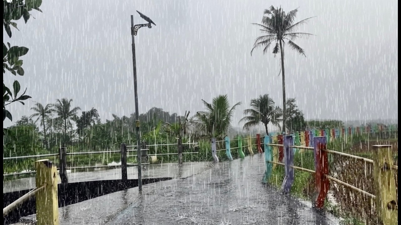 Soothing Rain on Rural Road 🌧️ Sleep Fast with Monsoon Sounds