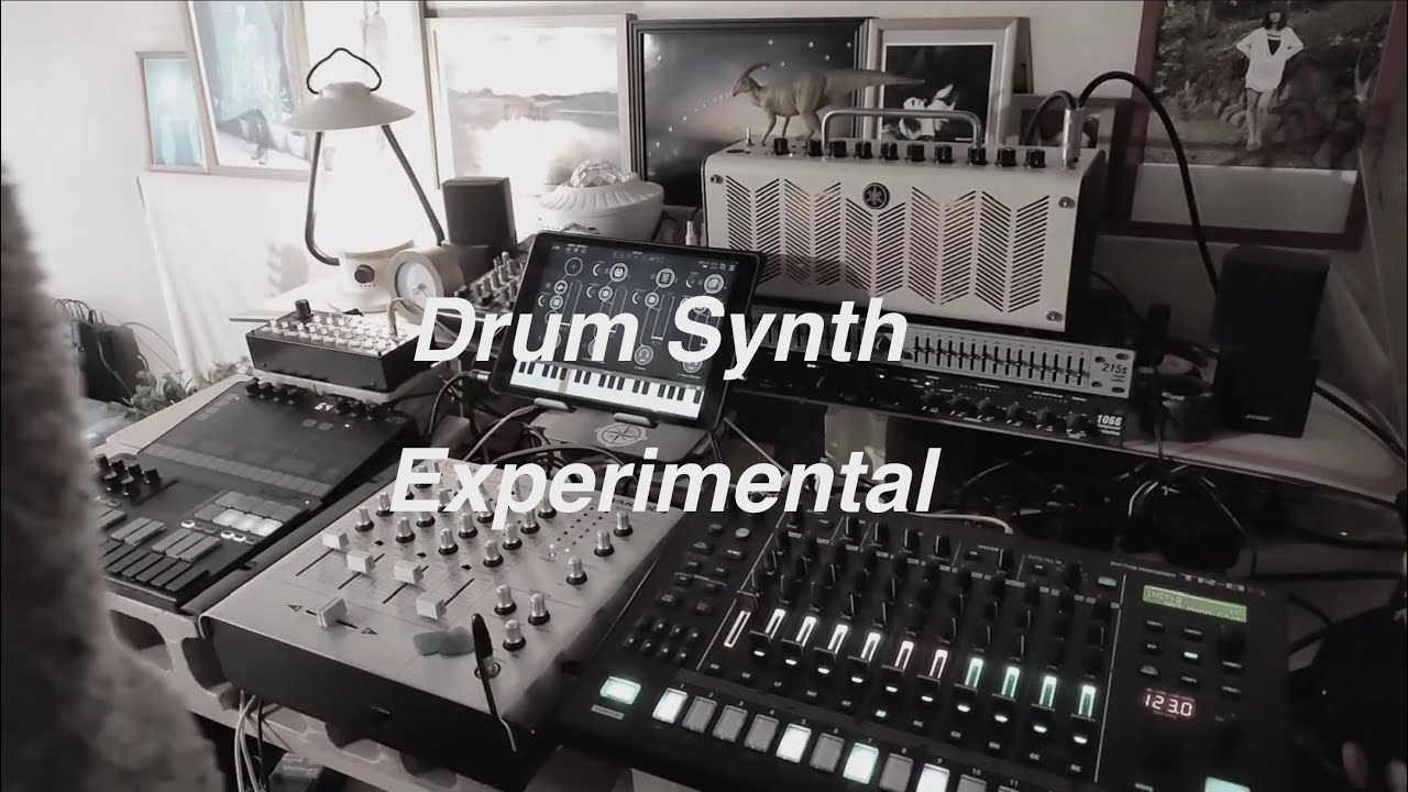 Drum Synth 303 - Experimental  Organic Techno - Musyc 2 ipad x Tr8s