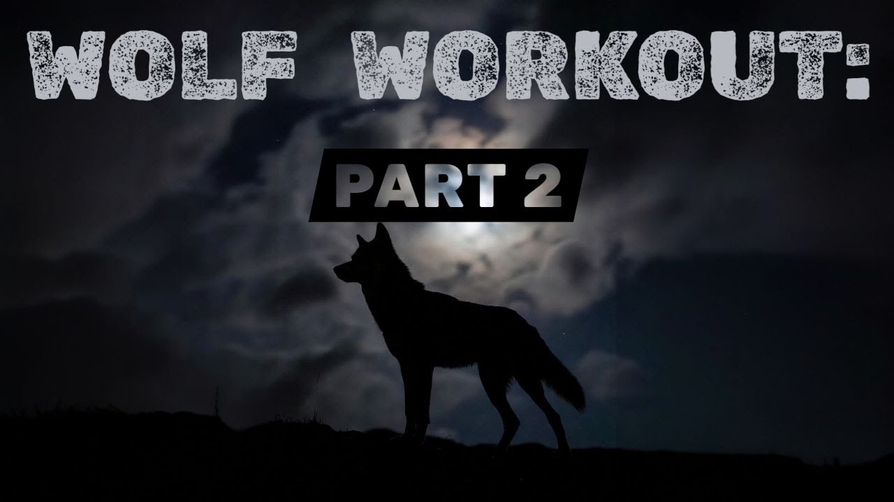 IRONWOLF WORKOUT: TOP-TO-BOTTOM WORKOUT. Follow Along. Calisthenics, bodyweight, no regrets.