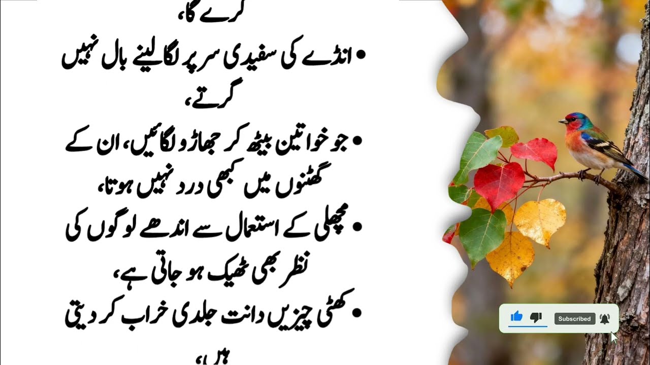 Quotes About life | Motivational Islamic Quotes | Golden Words | Rumi Quotes | Hazrat Ali Quotes
