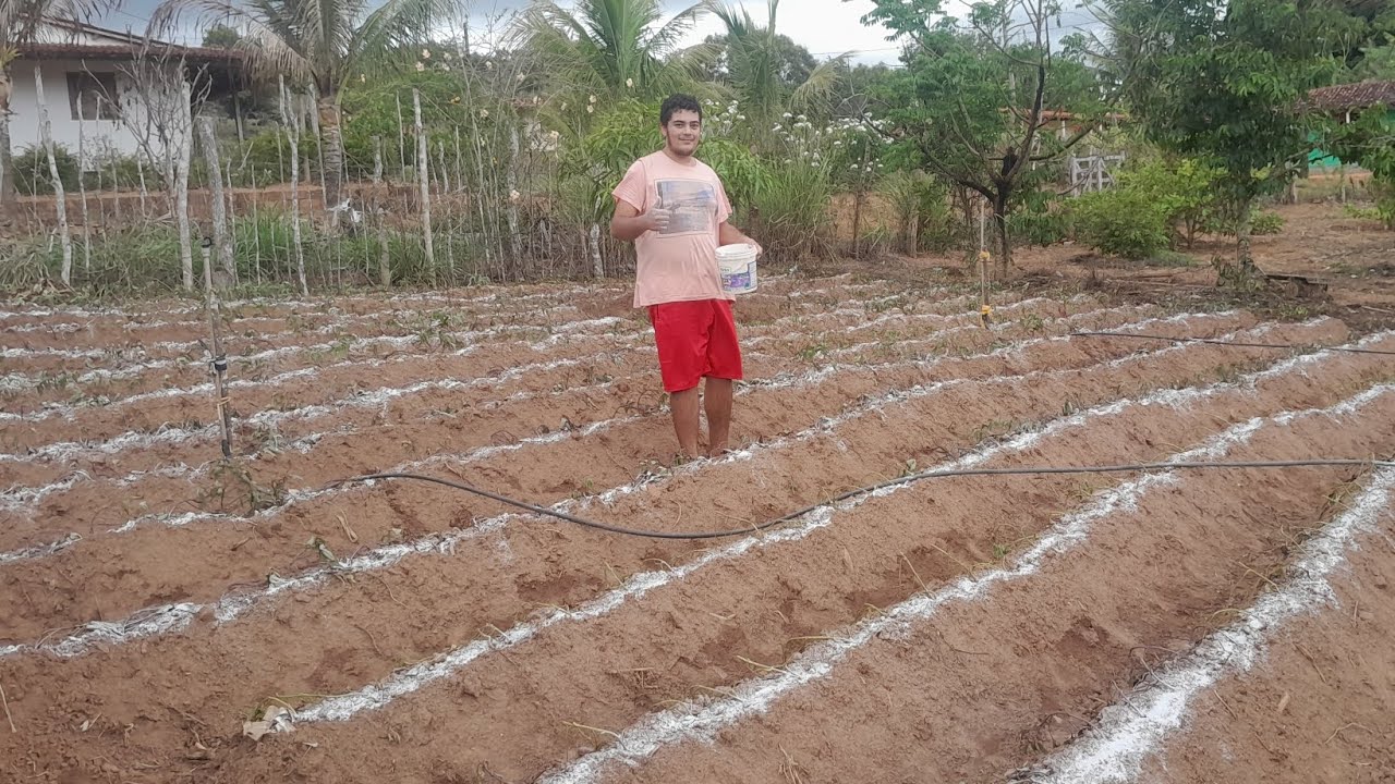 MEU AMIGO ME DEU UMA DICA E EU VOU FAZER O TESTE SERÁ QUE FUNCIONA???