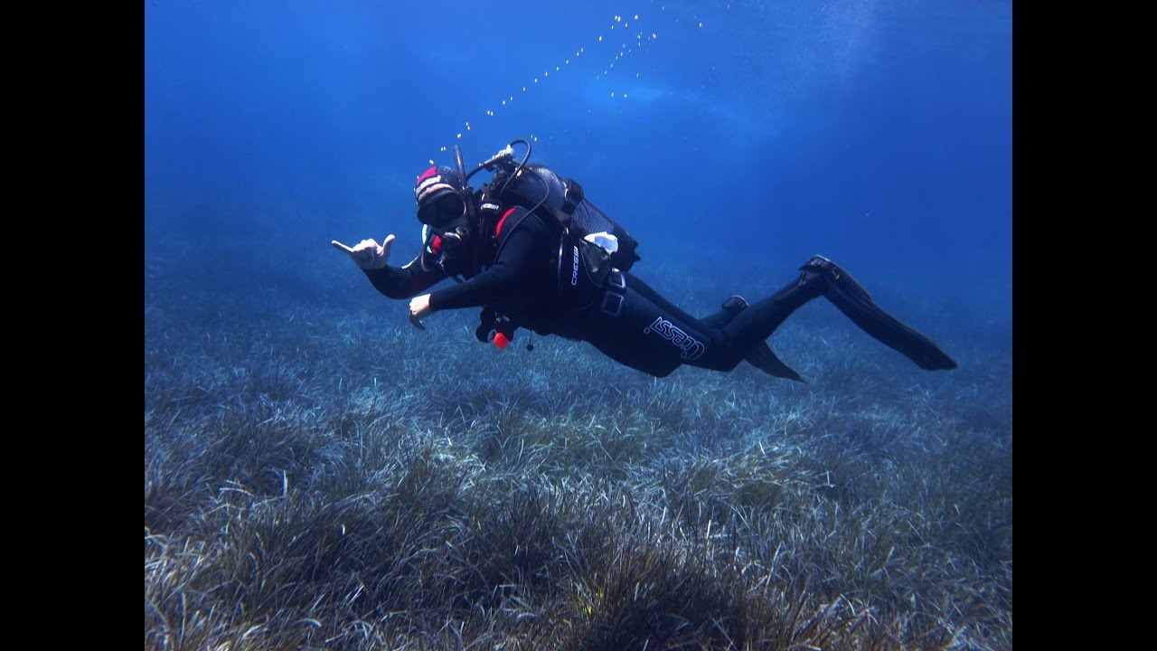 Samos Divers - Scuba Diving in Samos Part 10