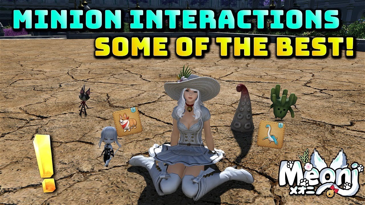 FFXIV: Some of the best Minion Interactions!