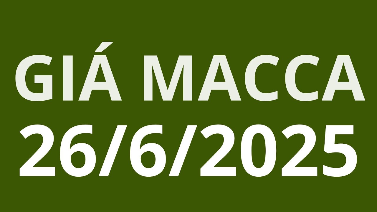 Gi&aacute; macca h&ocirc;m nay 26 6 2025, cập nhật chi tiết mới nhất gi&aacute; mắc ca hiện nay bao nhi
