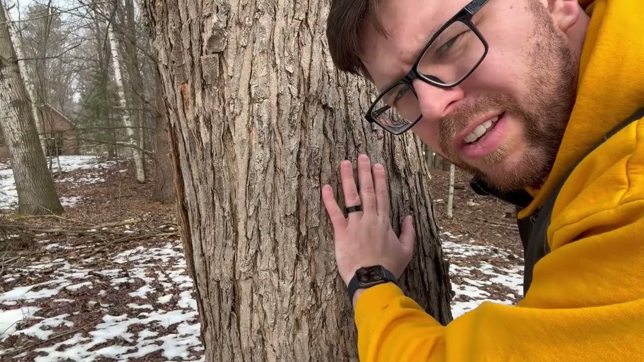Backyard Maple Syrup! Part 1