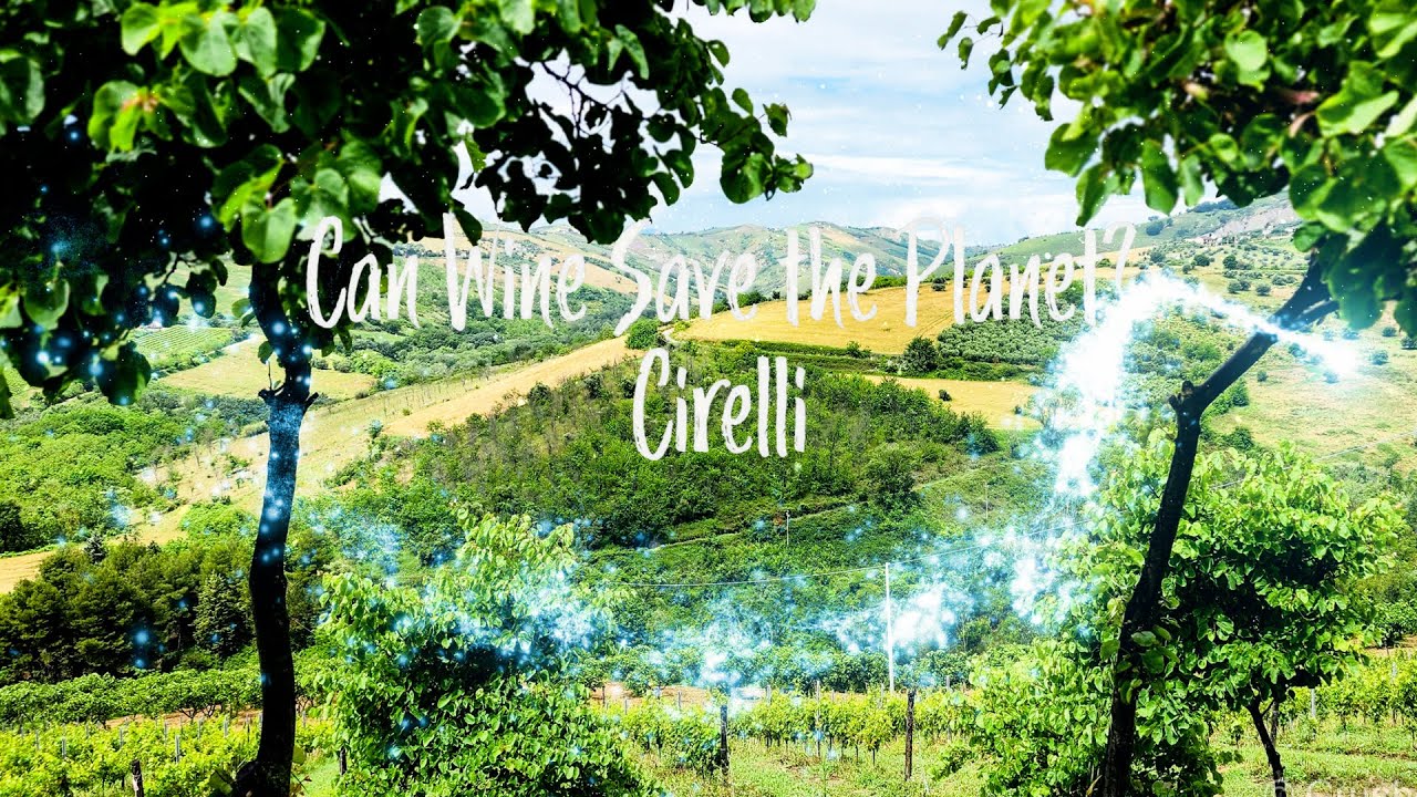 Discover Future Wines at Agricola Cirelli CGC 12 days of Wine