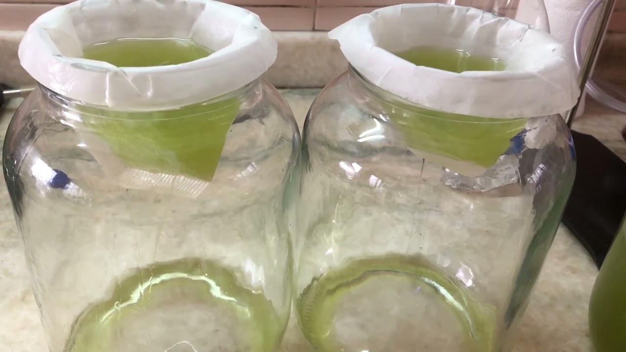 Proceso de extracci&oacute;n de resina en etanol