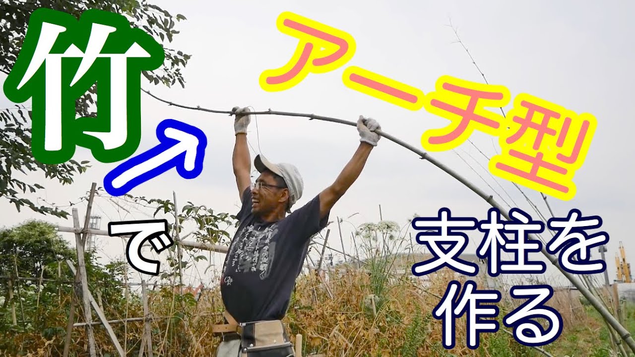 竹と麻紐でキュウリのアーチ型支柱作り【自然農法】2020年6月4日～12日
