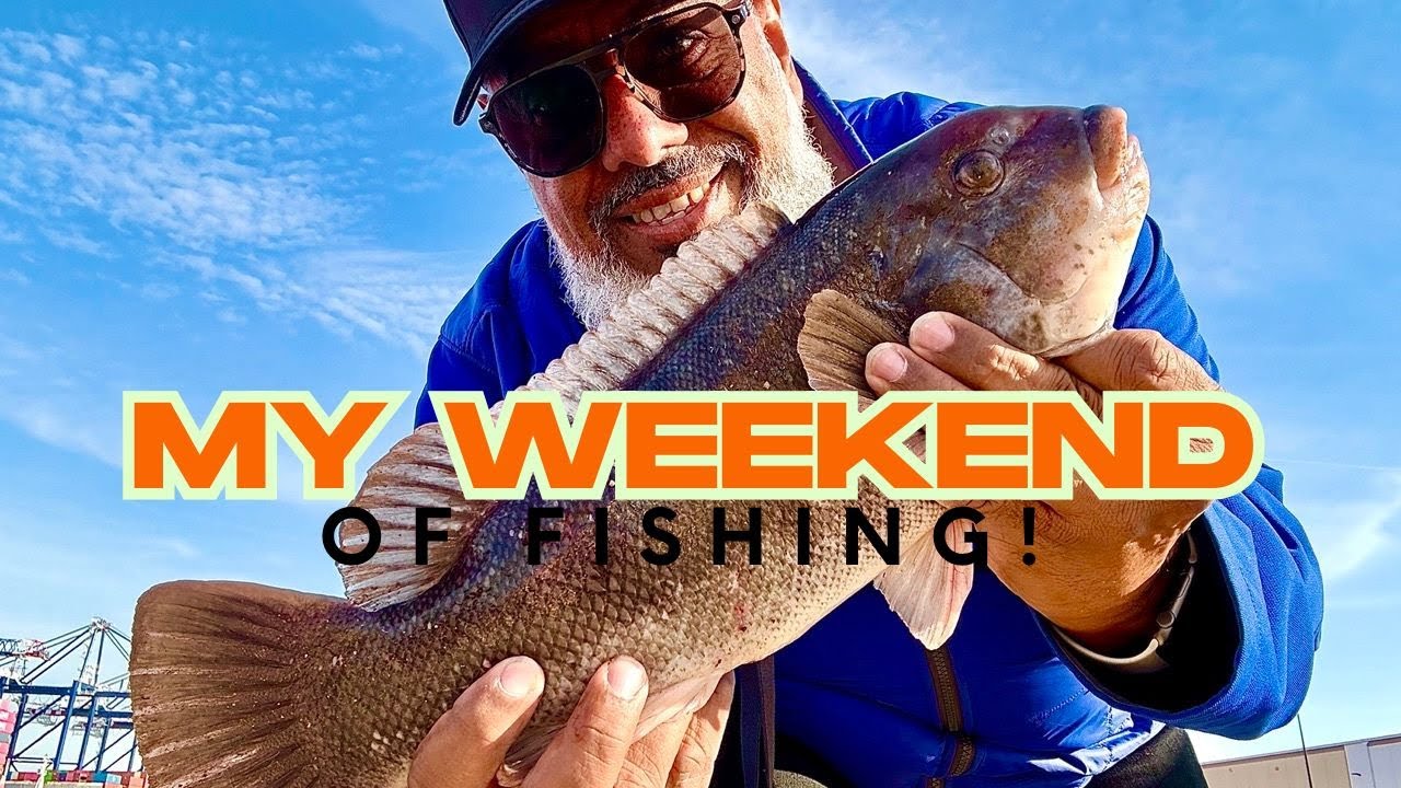 Black fishing in deep Bayonne water!
