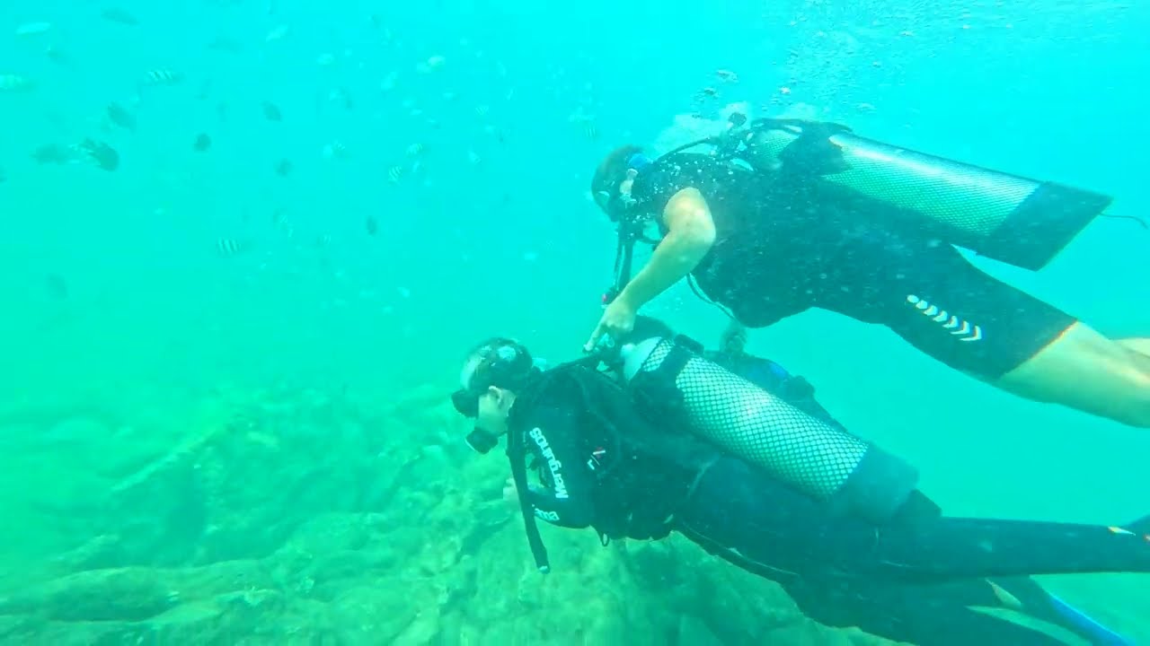 Mergulho de Batismo - Praia da Sepultura - Bombinhas - SC