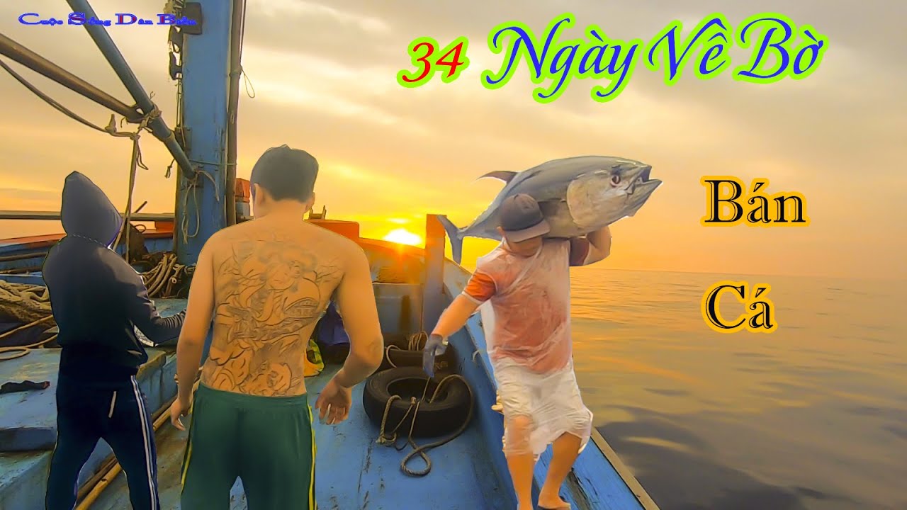 CÂU CÁ NGỪ ĐẠI DƯƠNG BIỂN HOÀNG SA 30║34 Ngày Câu Cá Hoàng Sa,Cách Ngư Dân Về Bờ Bán Cá.