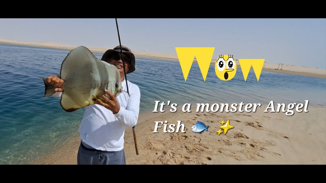 Catching BIG Angel fish at  #inlandsea #Qatar part1#Beach #fishing #Sunday