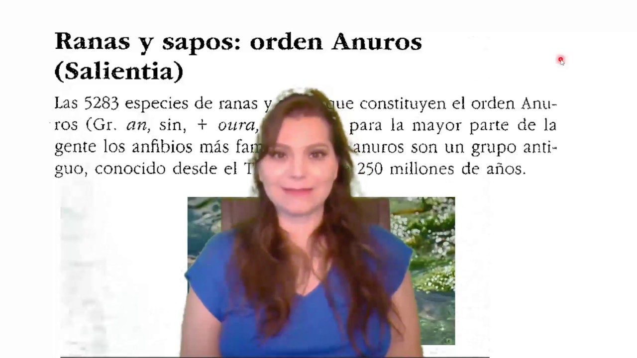 Anuros