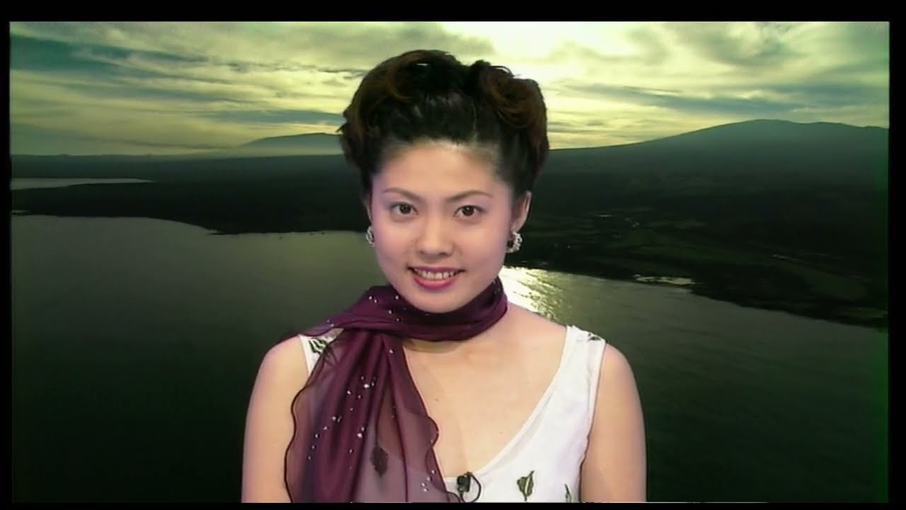 Japanese Analog HDTV (TBS BS-i) recorded on W-VHS Format, Digitized. (Documentary and Seiko Matsuda)