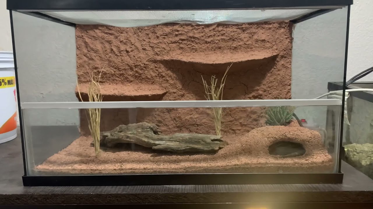 Cómo hacer un terrario desértico sencillo