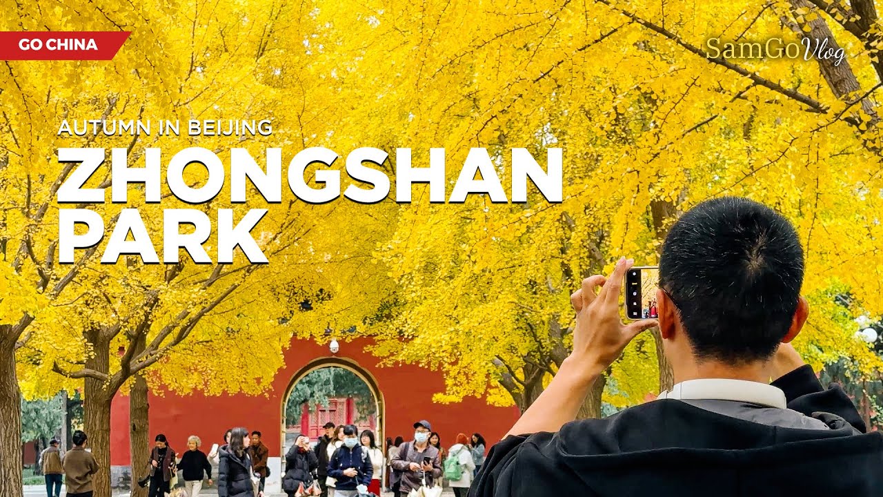 Zhongshan Park Beijing: Magical Gold Season Walking 4K | SamGo