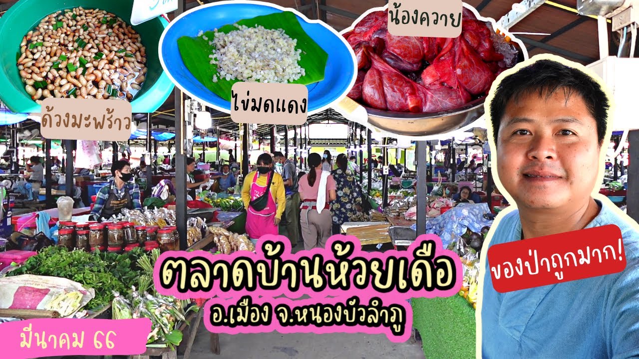 ของกินแนวบ้านๆ ตลาดบ้านห้วยเดื่อ หนองบัวลำภู อาหารป่า อาหารอีสาน แม่ค้าเว้าม่วน!!