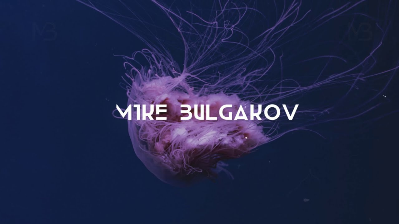 Meduza Type Beat 