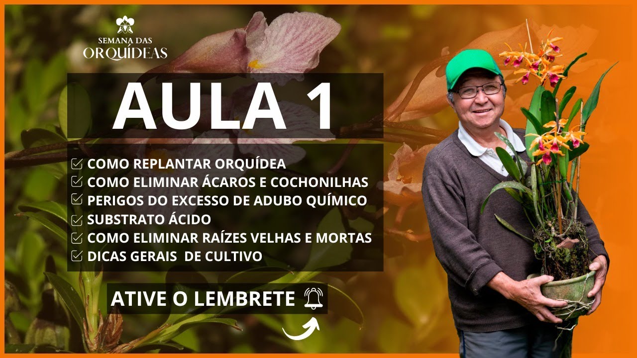AULÃO DE  ORQUÍDEAS - MASUJI KAYASIMA