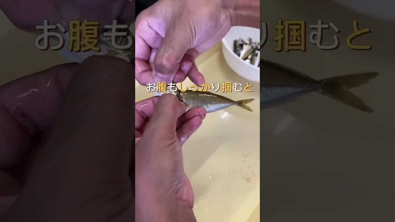 豆アジは捌くのが超簡単！　１００匹釣っても秒で完了