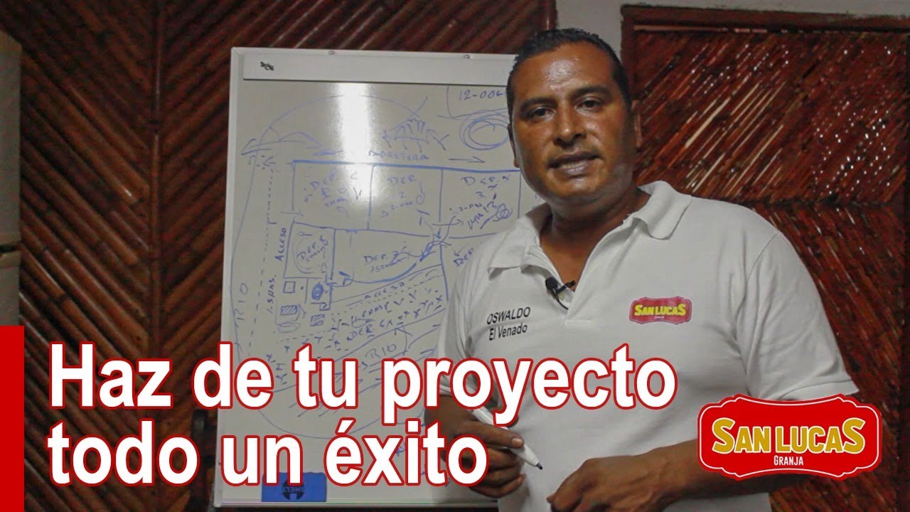 5 puntos principales para que tu proyecto tenga &eacute;xito | Granja San Lucas