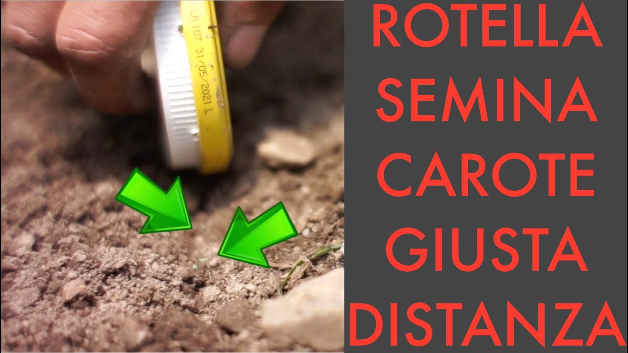 ➜ROTELLA per seminare le CAROTE!