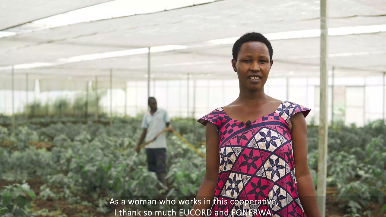 Solar powered irrigation in Rwanda